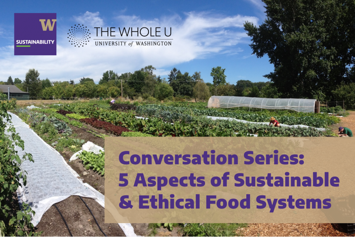 Sustainable Food Systems text over photo of the UW Farm