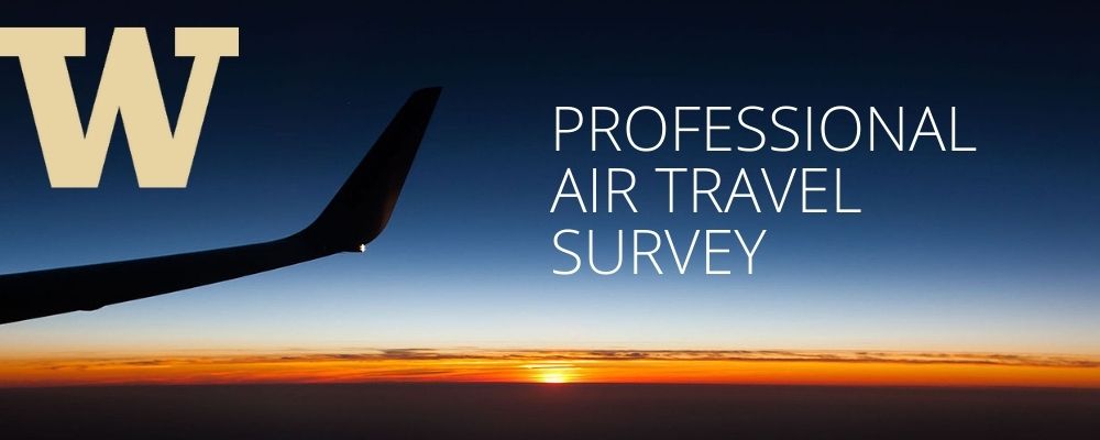 image of plane wing with sunset in background, with text "Professional Air Travel Survey"