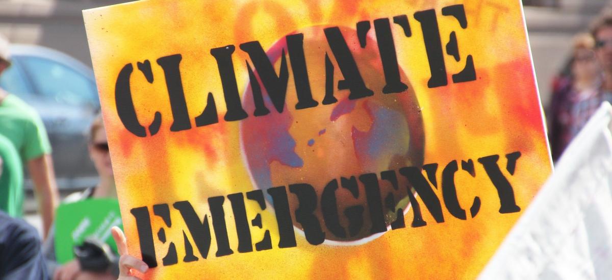Climate Emergency protest sign