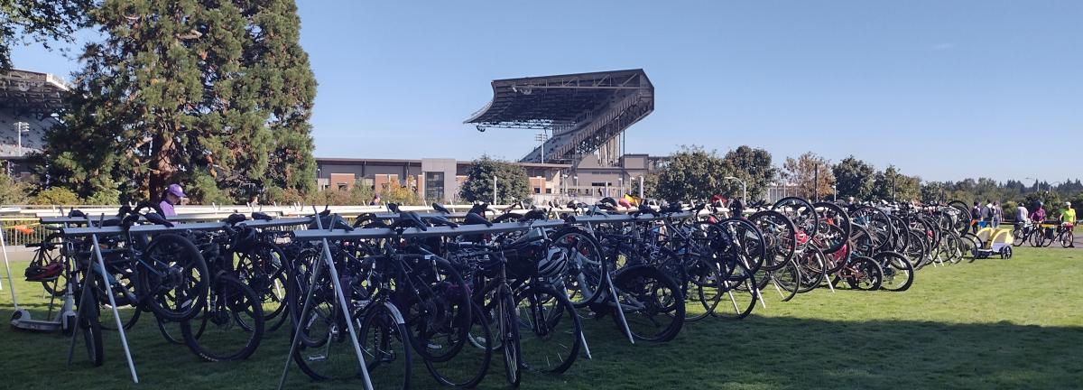 bikes parked with Husky Stadium in the background