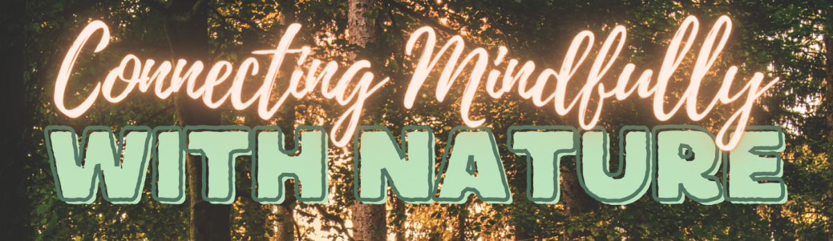 Connecting mindfully with nature