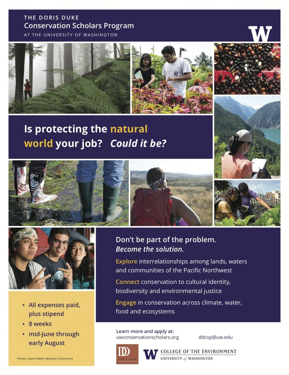 DDCSP@UW flyer