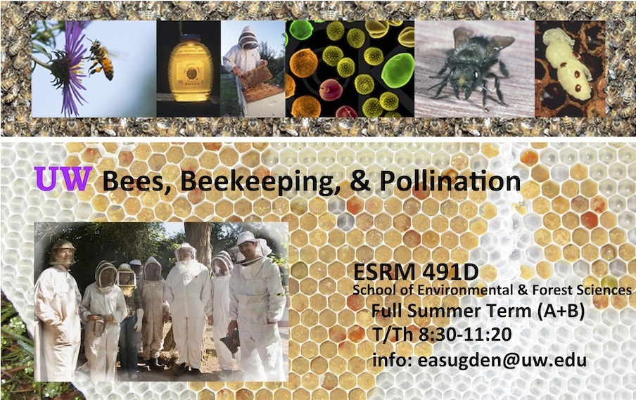 Beekeeping course poster pdf