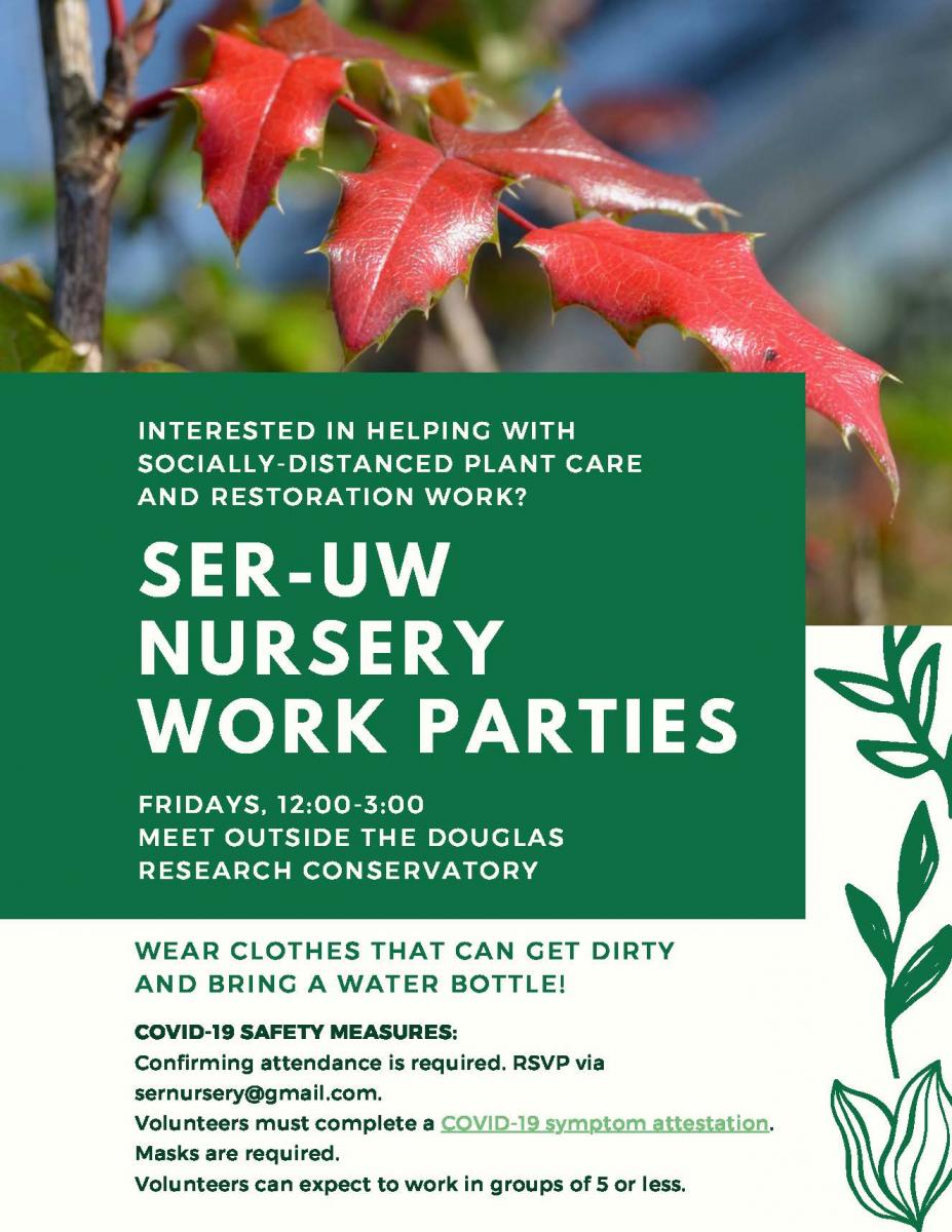 Native Plant Nursery volunteer flyer
