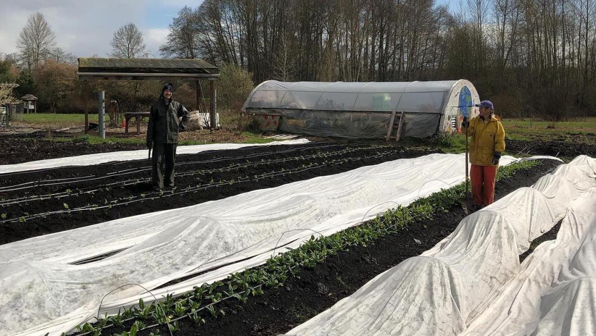 Two people working on the UW Farm