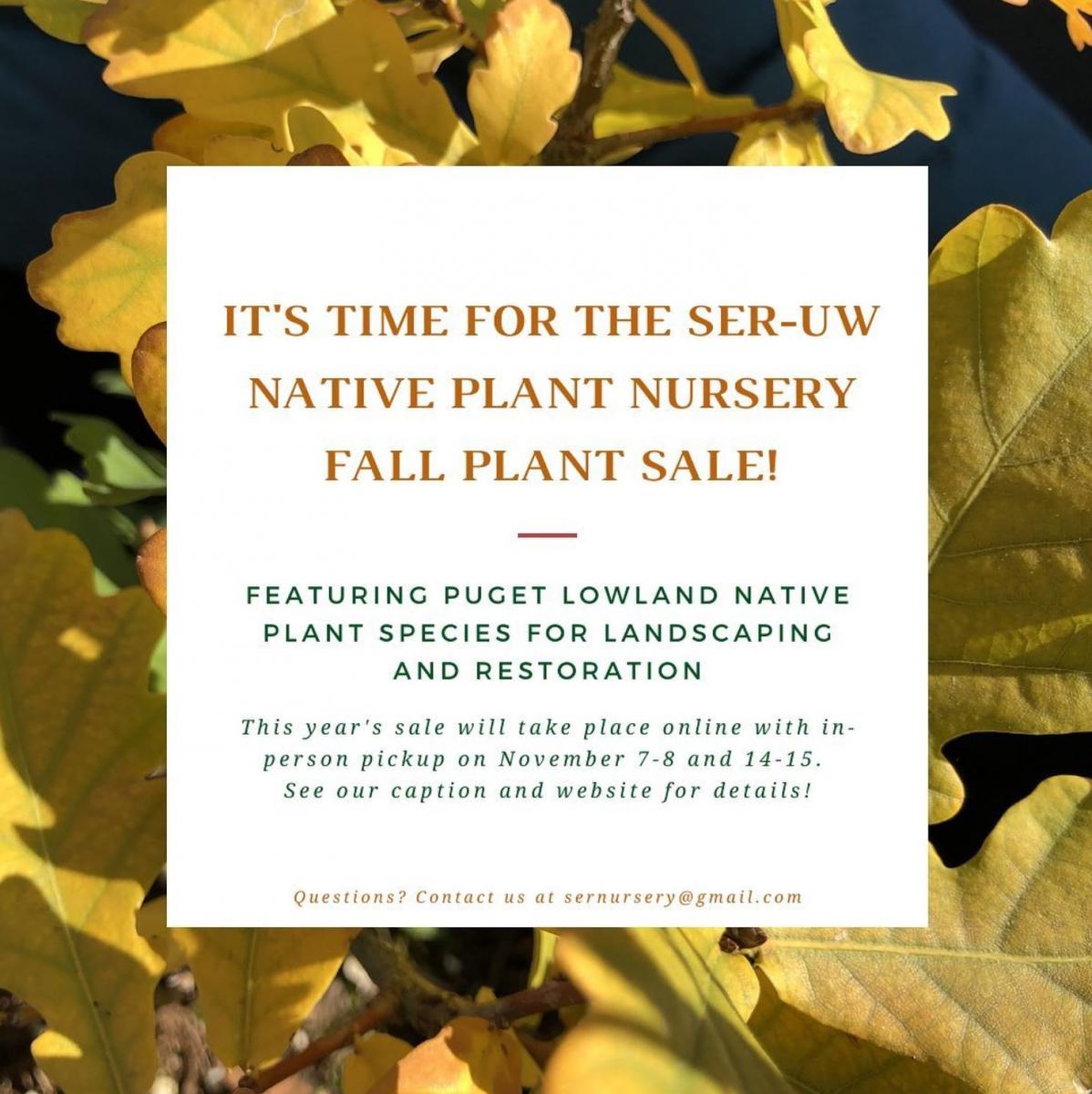 Native Plant Sale poster