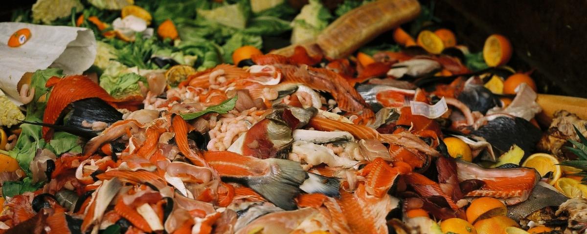 food waste