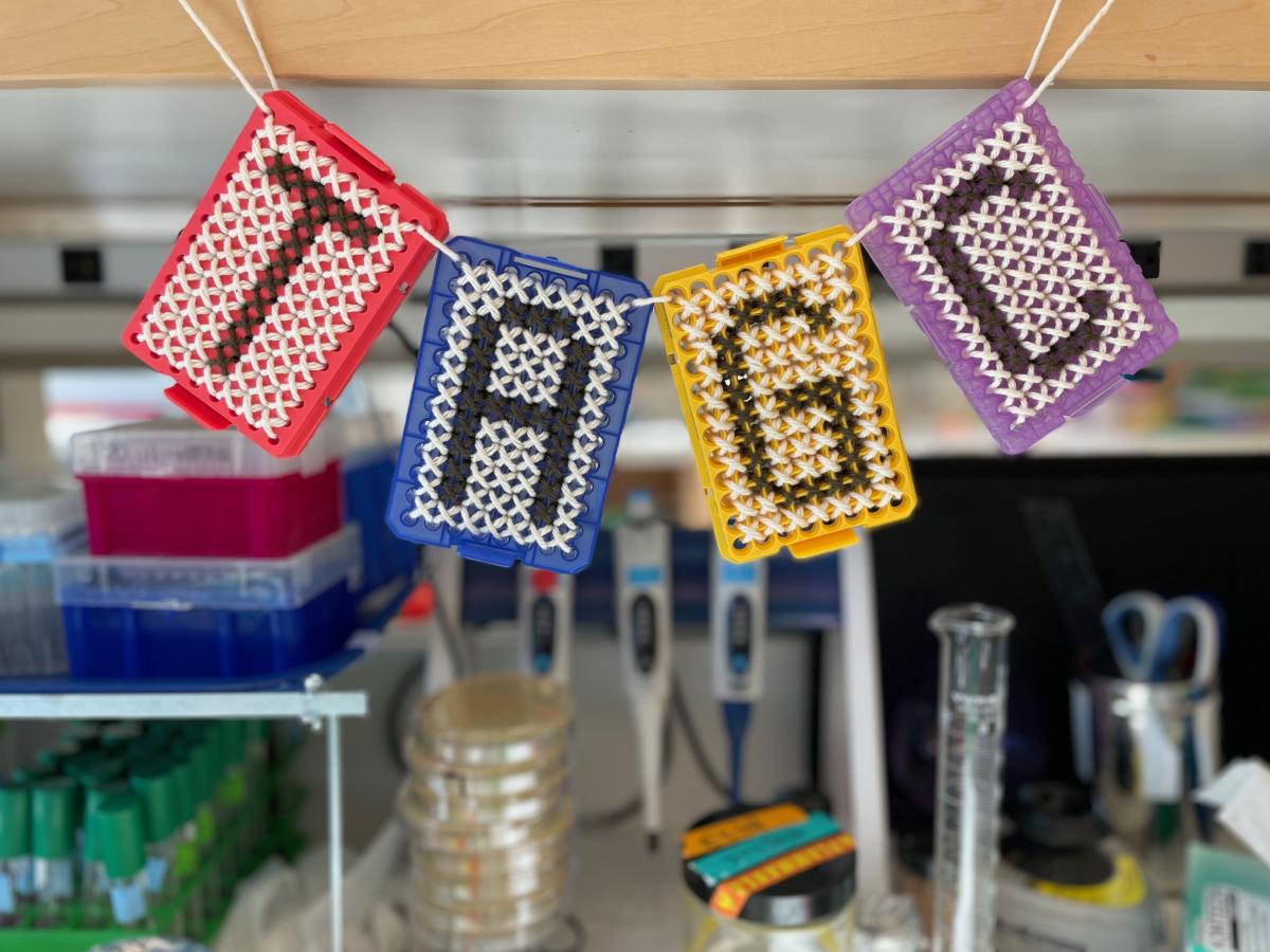 rectangular pieces of plastic that spell out TAGC;