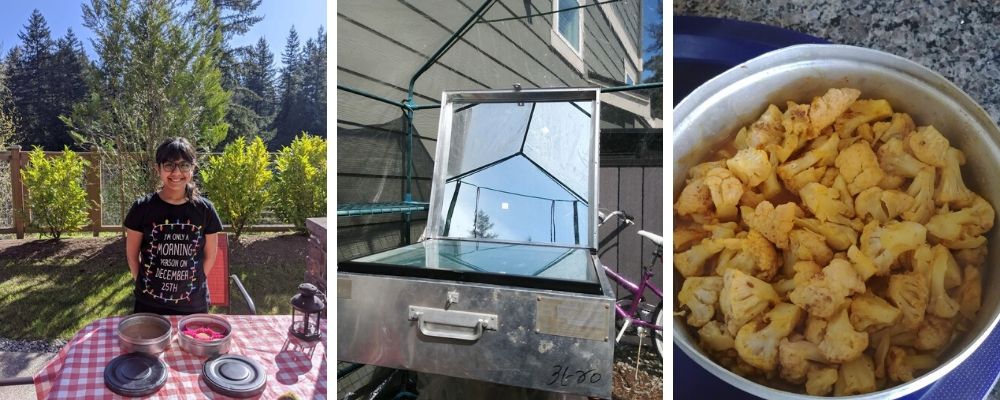Sharda Shah, solar cooker and cooked cauliflower