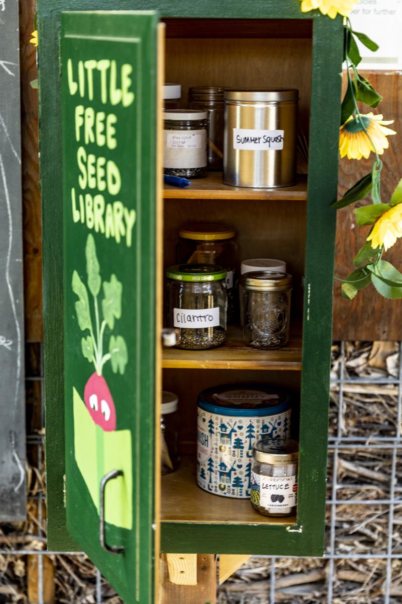 green cabinet with jars inside; text on the front of cabinet reads little free seed library