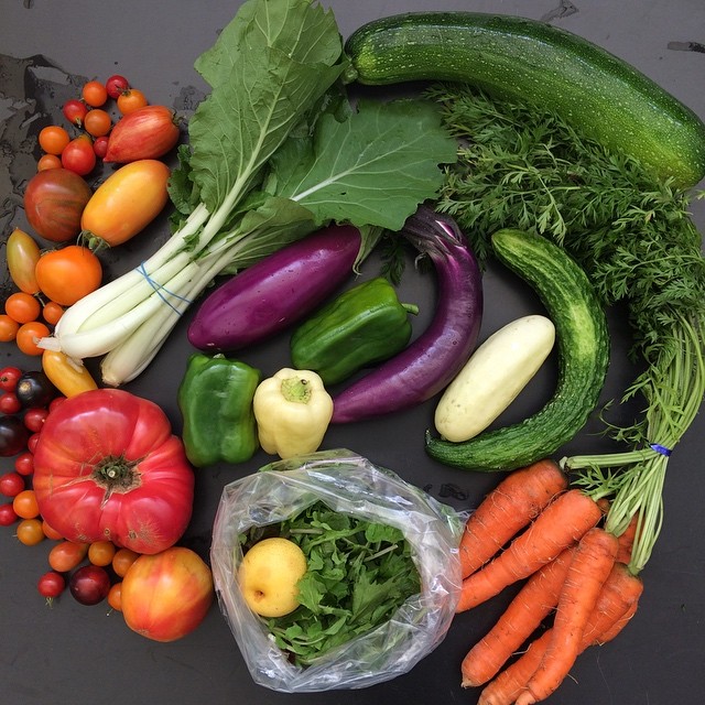 assortment of farm-grown vegetables