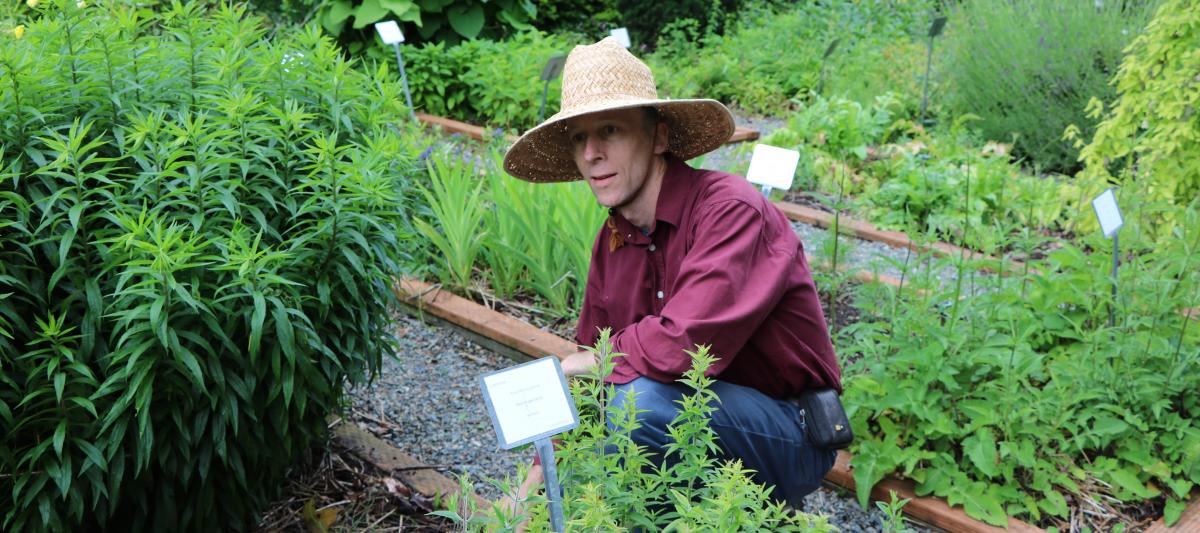 Keith Possee kneeling in the Medicinal Herb Garden