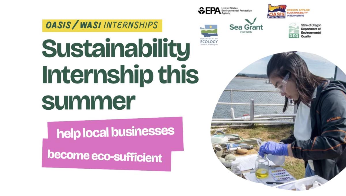WASI internship flyer, with picture of intern conducting research and text "Sustainability internship this summer. Help local businesses become eco-sufficient