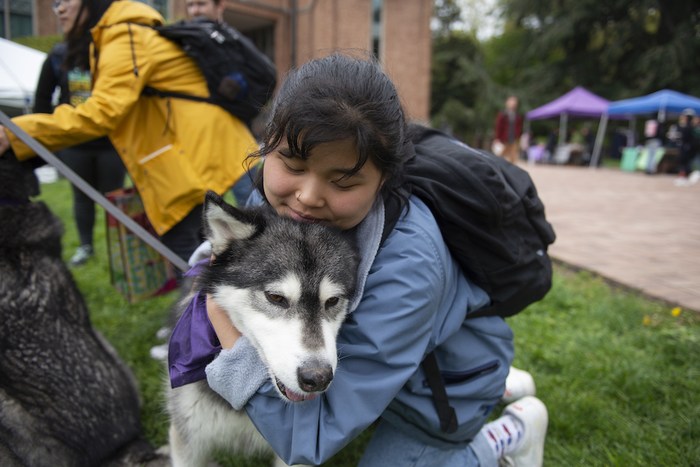 student hugging a Husky