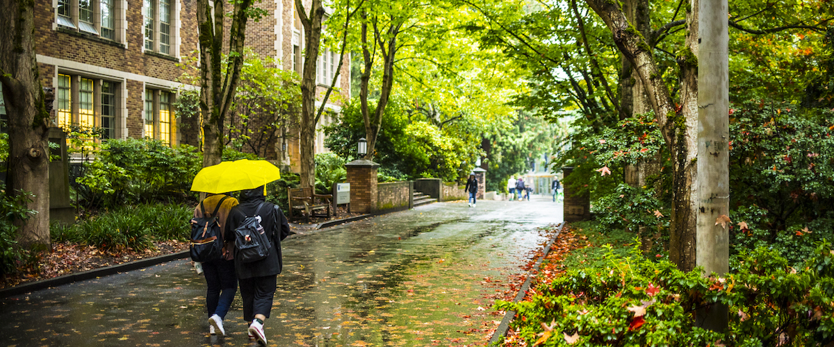 students walking under an umbrella on tree-lined campus path