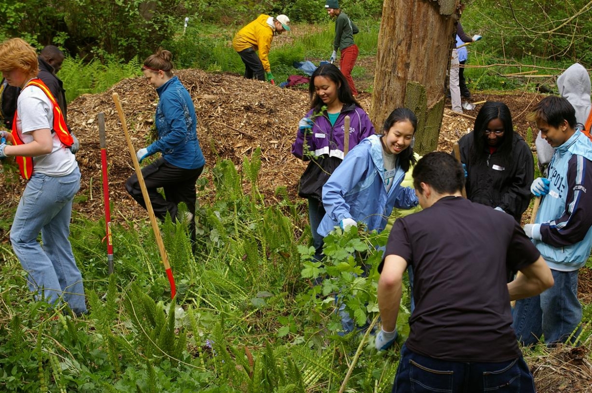 Earth Day restoration event at the Arboretum
