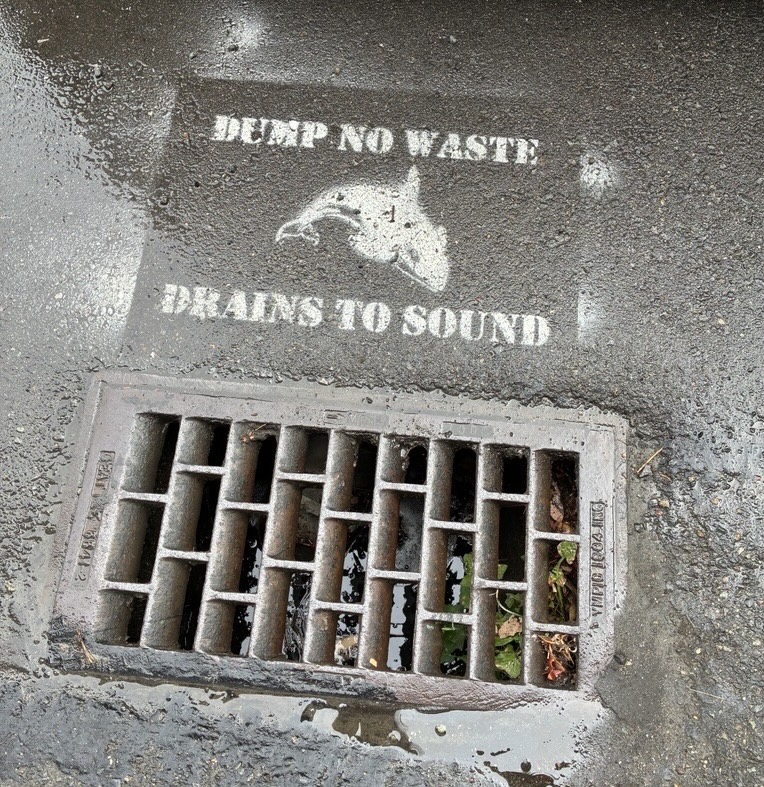 painted stencil that says "dump no waste, drains to sound" with picture of an orca
