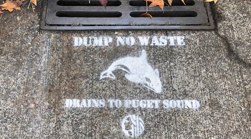 painted stencil by storm drain reading "dump no waste drains to Puget Sound"