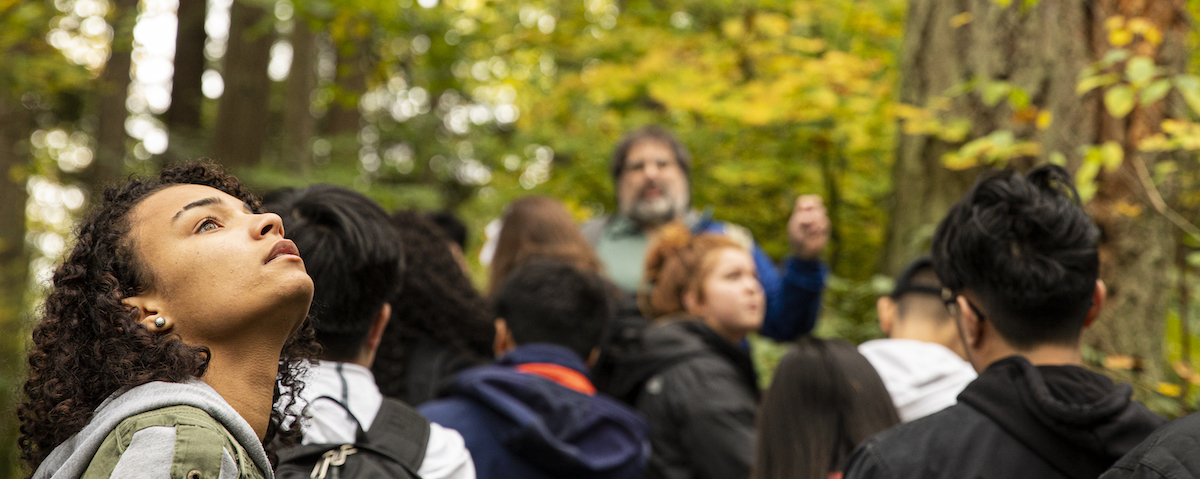 group of students, with one in foreground looking up at tree canopy