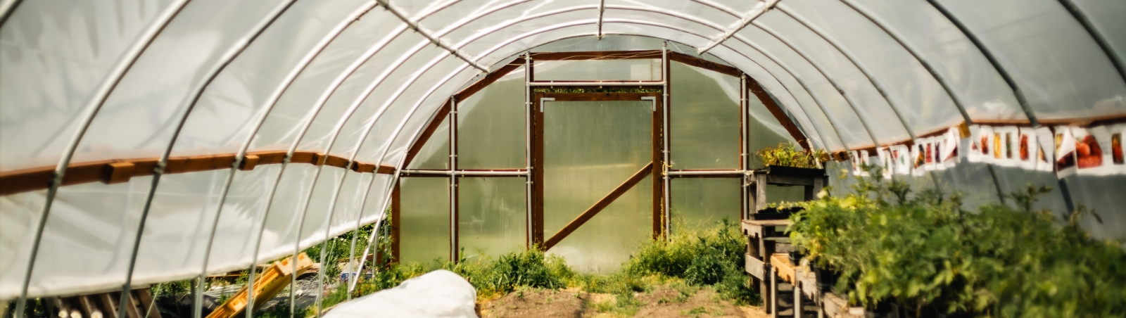 UW Farm hoophouse