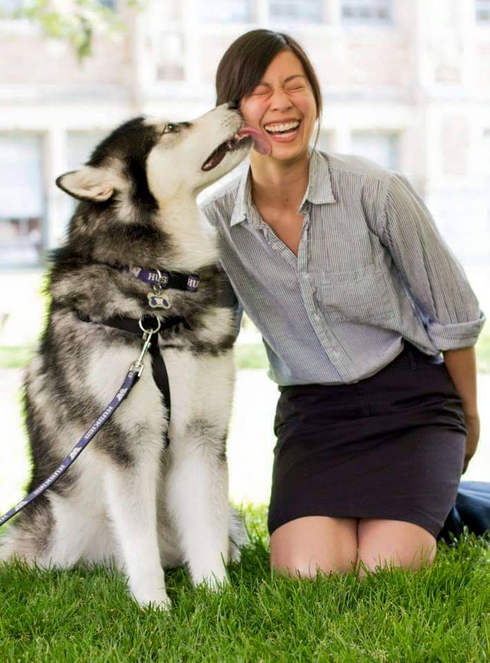 UW's husky mascot Dubs