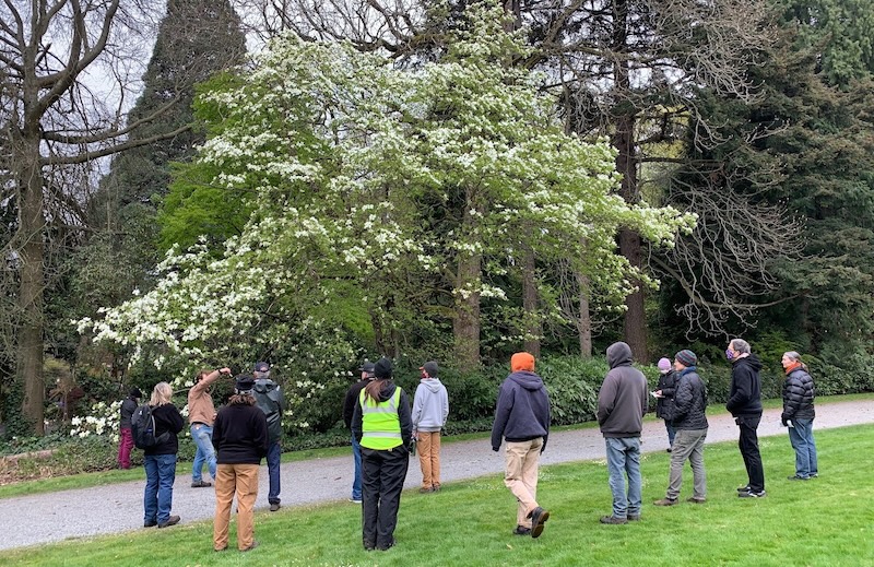guided tree tour on UW campus