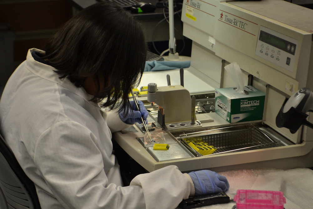 lab worker at microscope