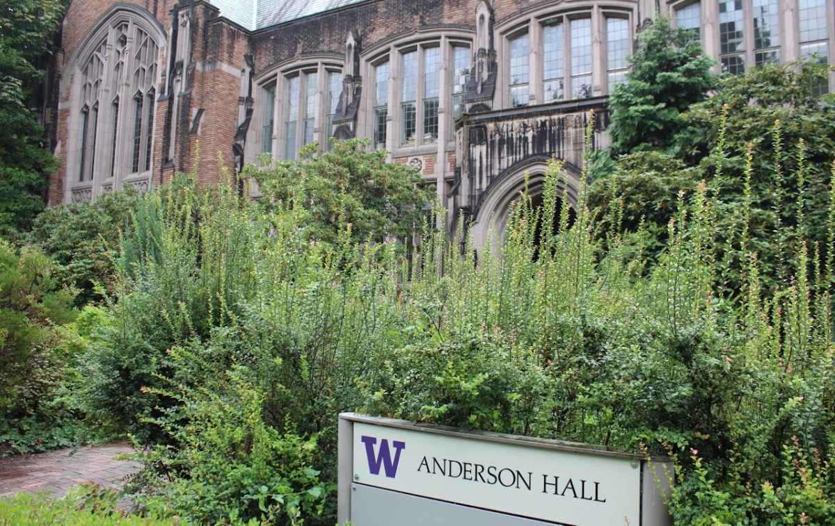 trees outside Anderson Hall