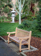 A wooden bench nestled in lush greenery on campus