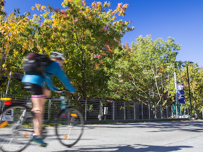 biker on the Burke-Gilman Trail
