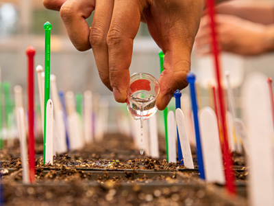 hand conducting experiment on soil
