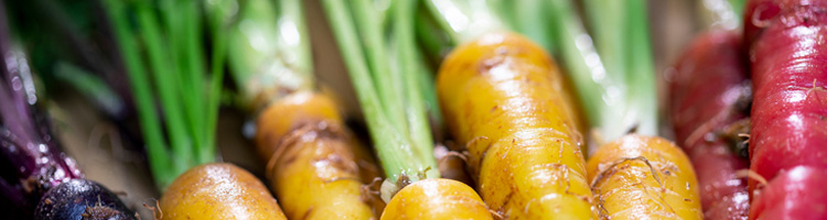 carrots