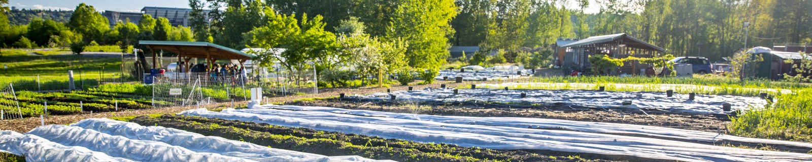 view of the UW Farm in early Spring