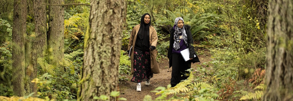 students walking in a forest