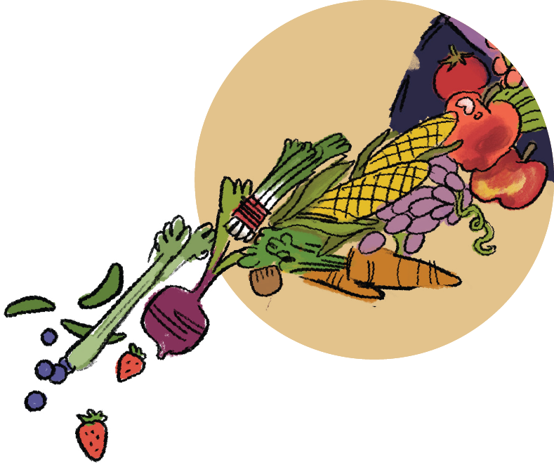 illustration of fresh fruit and vegetables