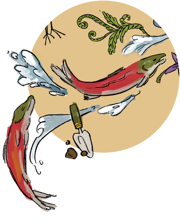 illustration of salmon swimming