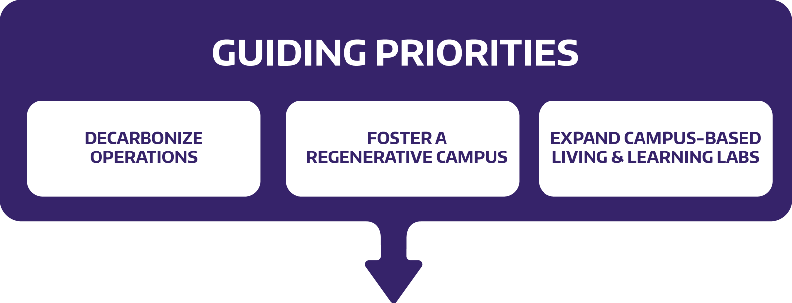 diagram of Plan's Guiding Priorities flowing from the 2050 vision