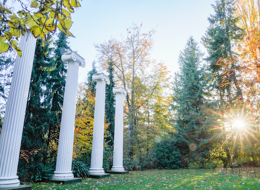 Sun shining on columns in Sylvan Grove.