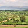 vehicles driving on a road in rural Rwanda