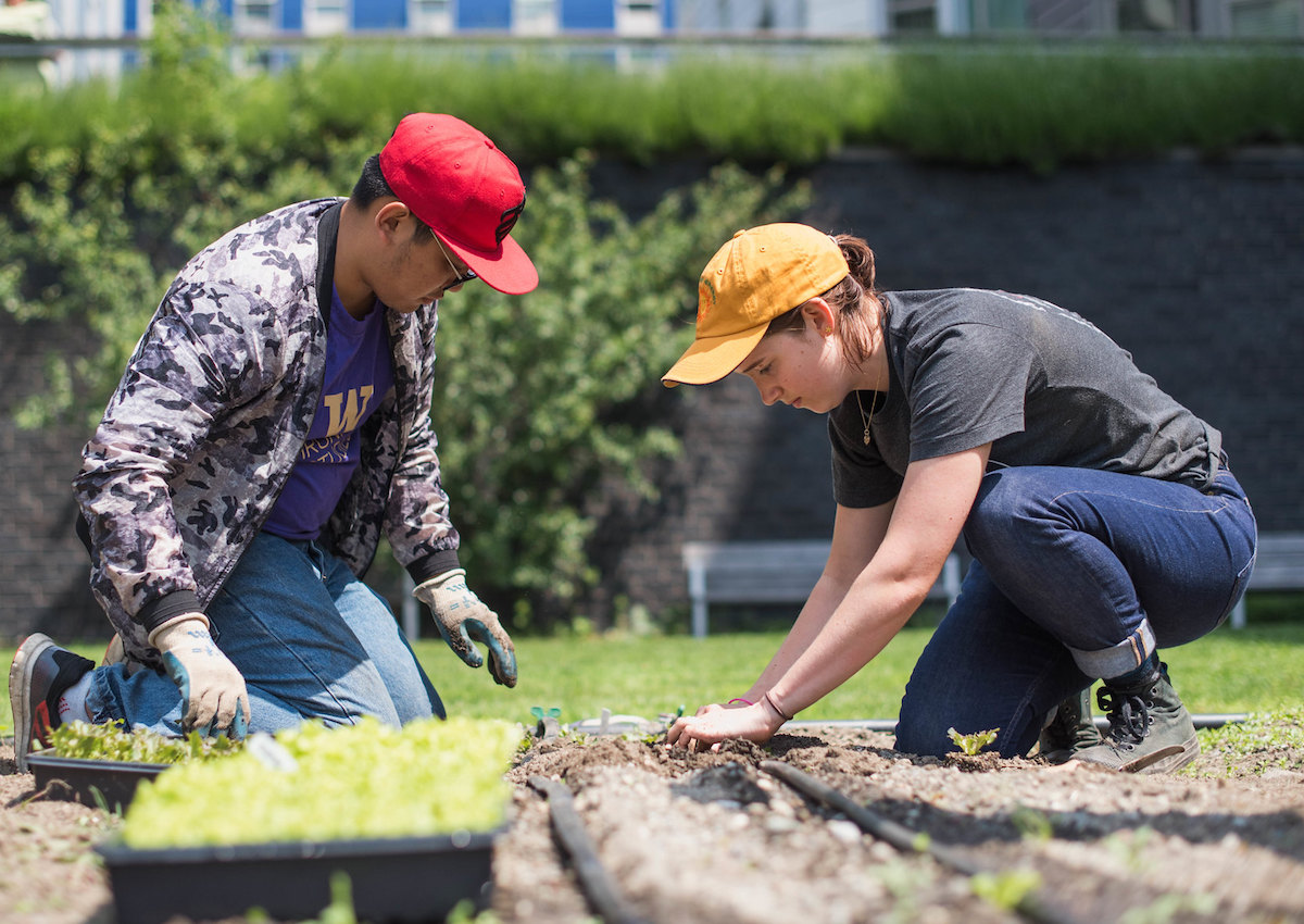 students at the UW Farm